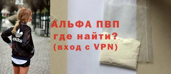 сатива Осташков