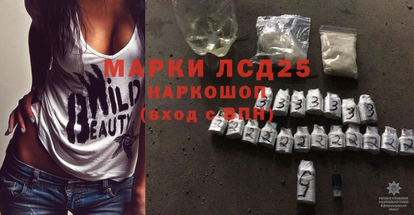 гашик Няндома