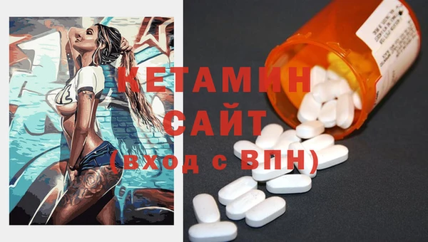 гашик Няндома