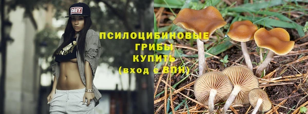 молекула духа Аркадак