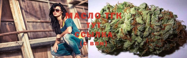 сатива Осташков