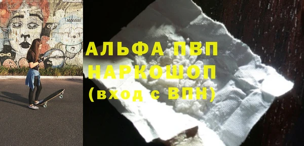 гашик Няндома