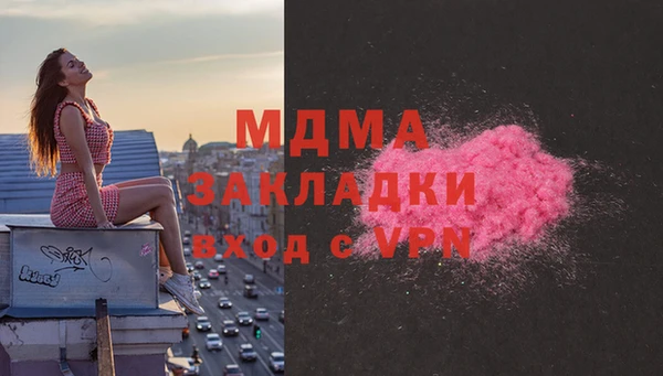 гашик Няндома