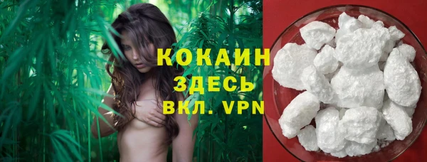 твердый Армянск