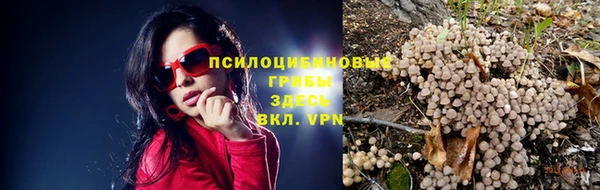 твердый Остров