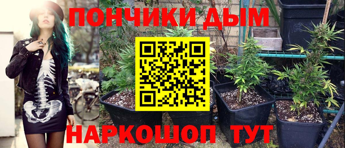 Конопля THC 21%  Бошки марихуана конопля  Набережные Челны  Бошки Шишки THC 21% 